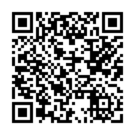 QR code for DMZ954