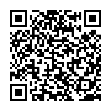 QR code for DNA478