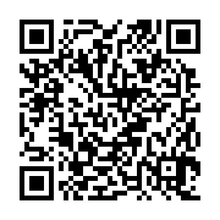 QR code for DNB384