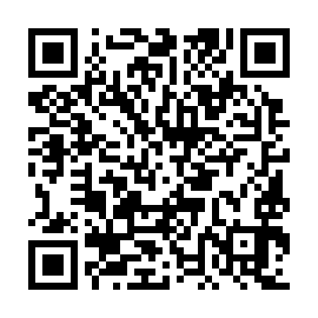 QR code for DNE393