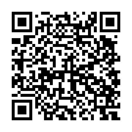 QR code for DNF447