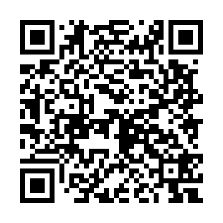 QR code for DNH528