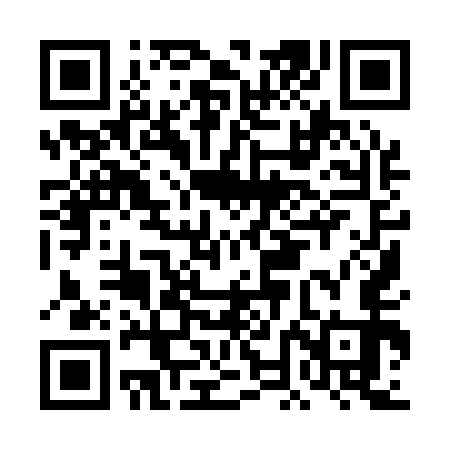 QR code for DNI153