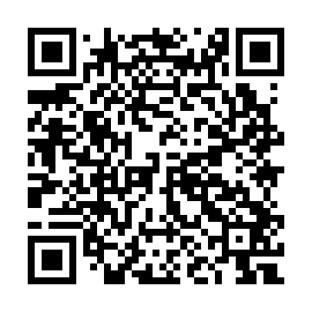 QR code for DNI342