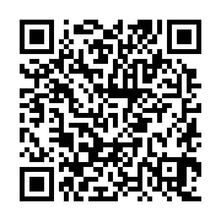 QR code for DNK381