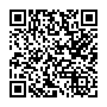 QR code for DNK393