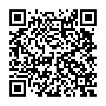 QR code for DNK419