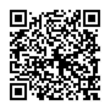 QR code for DNL598
