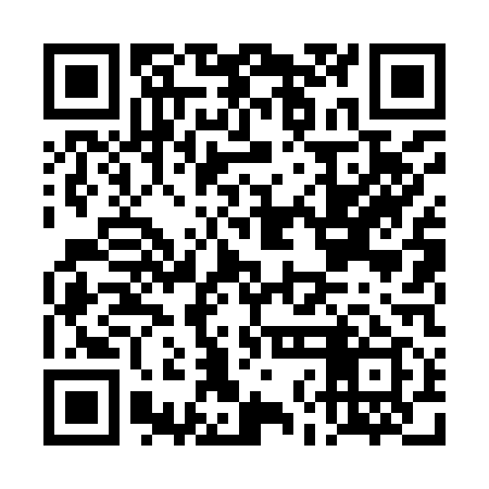 QR code for DNL919