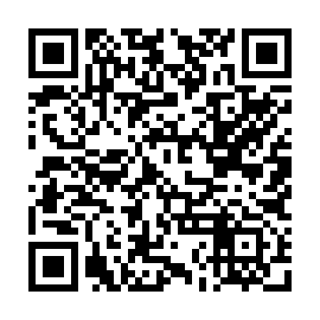 QR code for DNM293