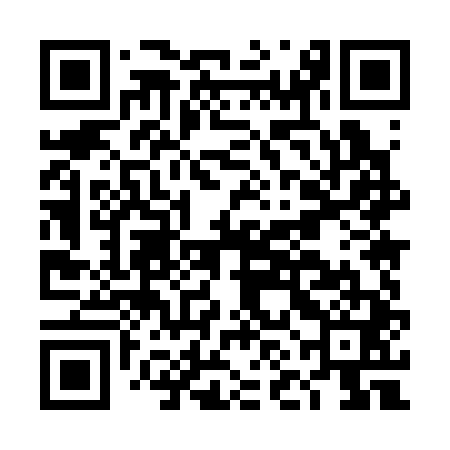 QR code for DNM341