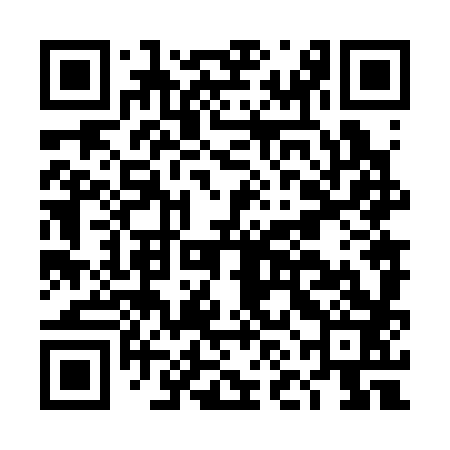 QR code for DNN383