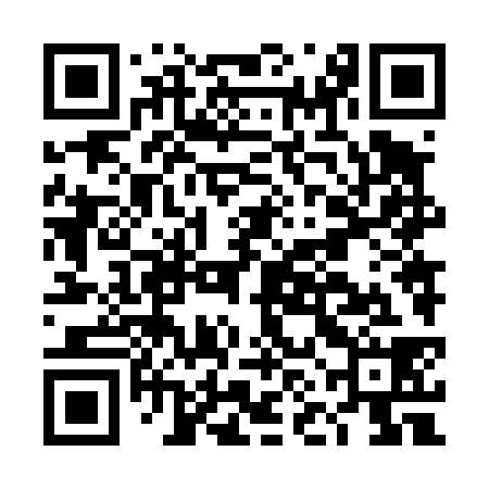 QR code for DNN438