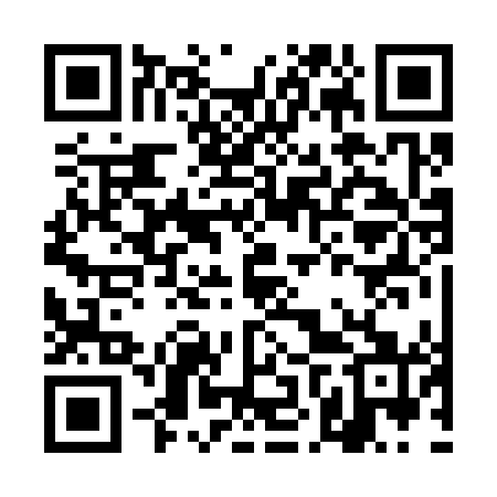 QR code for DNR341
