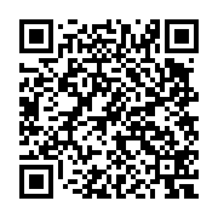 QR code for DNR419
