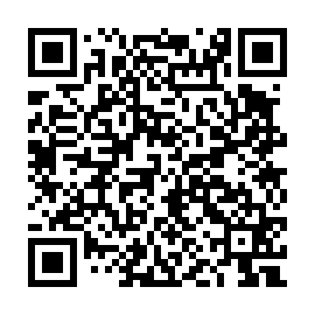 QR code for DNS461