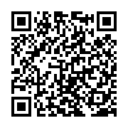 QR code for DNS478