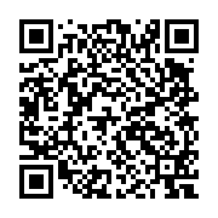 QR code for DNS491