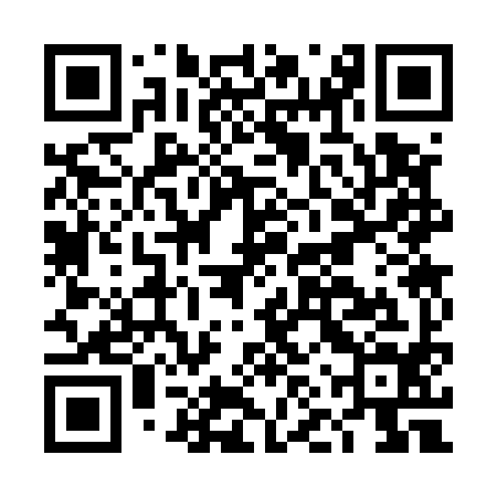 QR code for DNS594