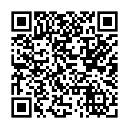 QR code for DNS994