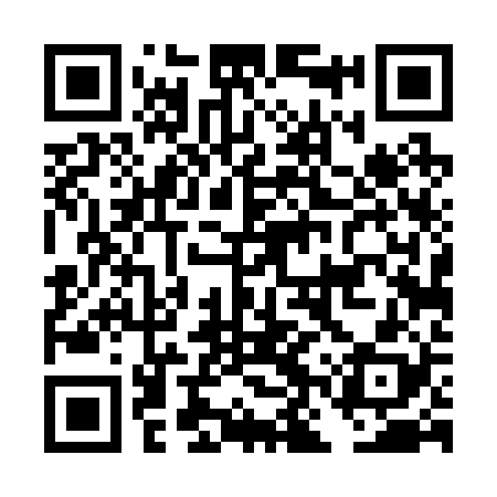 QR code for DNT228