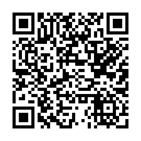 QR code for DNT397