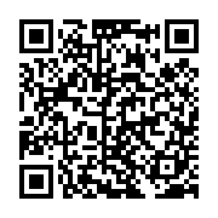 QR code for DNV441