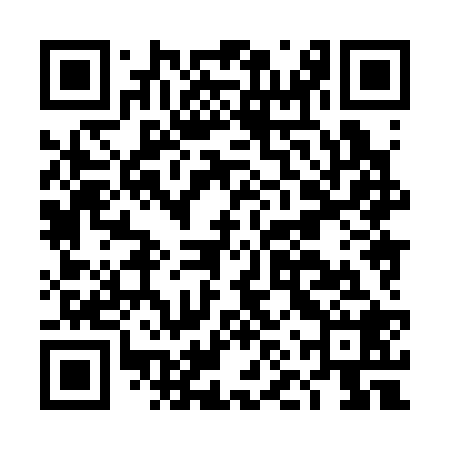 QR code for DNX328