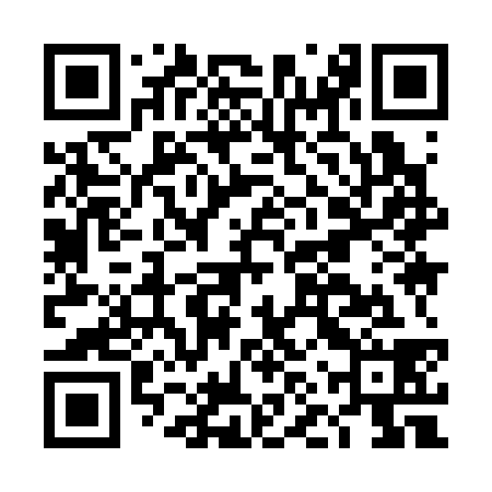 QR code for DNY338