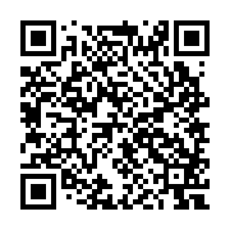 QR code for DNZ383