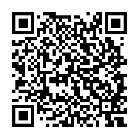 QR code for DOD389