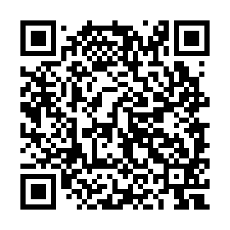 QR code for DOD393