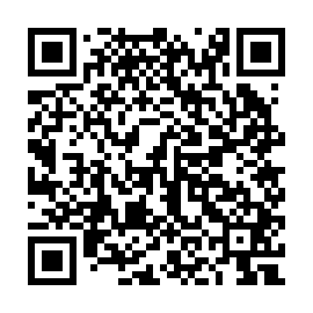 QR code for DOG241