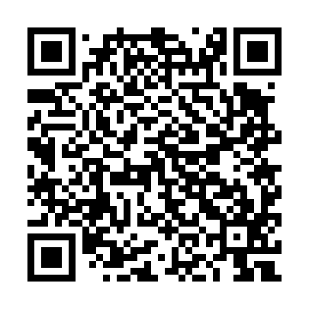 QR code for DOG497