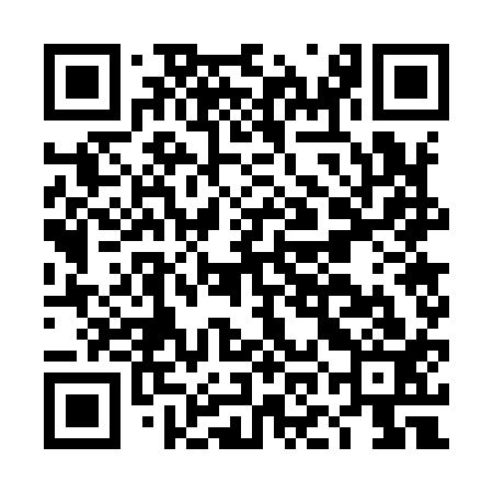 QR code for DOG913