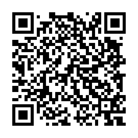 QR code for DOL411
