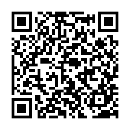 QR code for DOO384