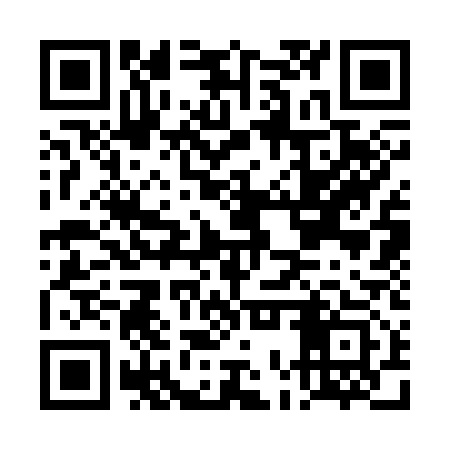 QR code for DOS313