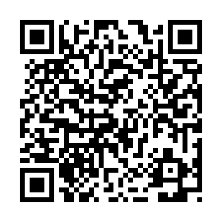QR code for DOT463