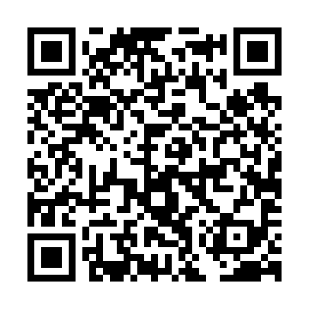 QR code for DOT699