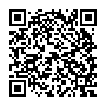 QR code for DPF291