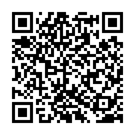QR code for DPF739