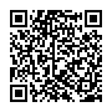 QR code for DPG293