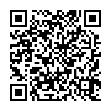 QR code for DPI207