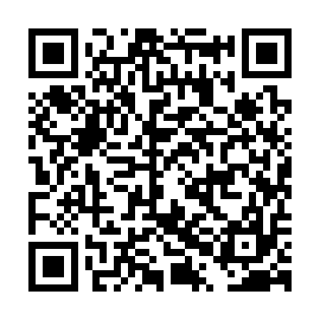 QR code for DPI317