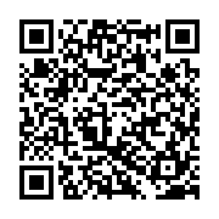QR code for DPI334