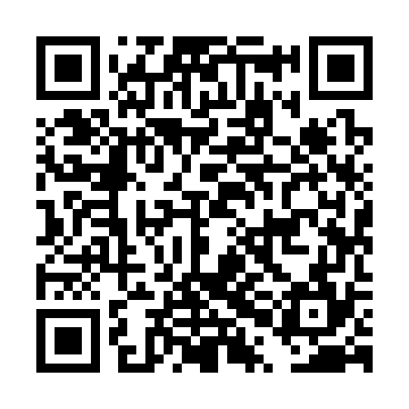 QR code for DPI374