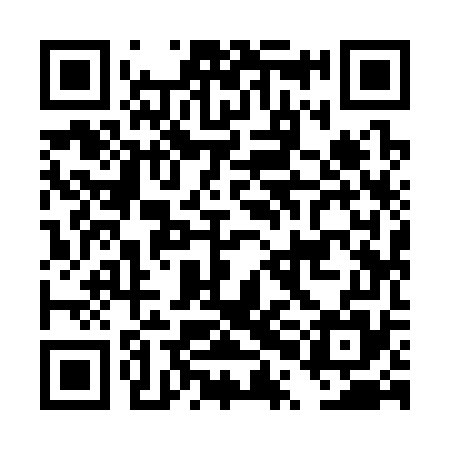 QR code for DPI375
