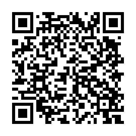 QR code for DPI446