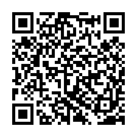 QR code for DPI493